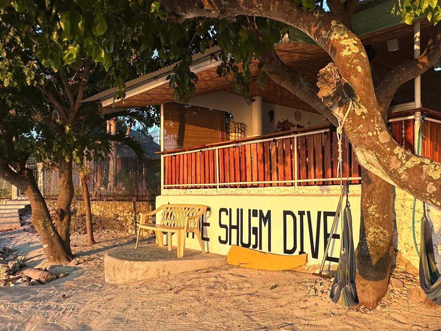 The Shuim Dive Resort Moalboal Bagian luar foto